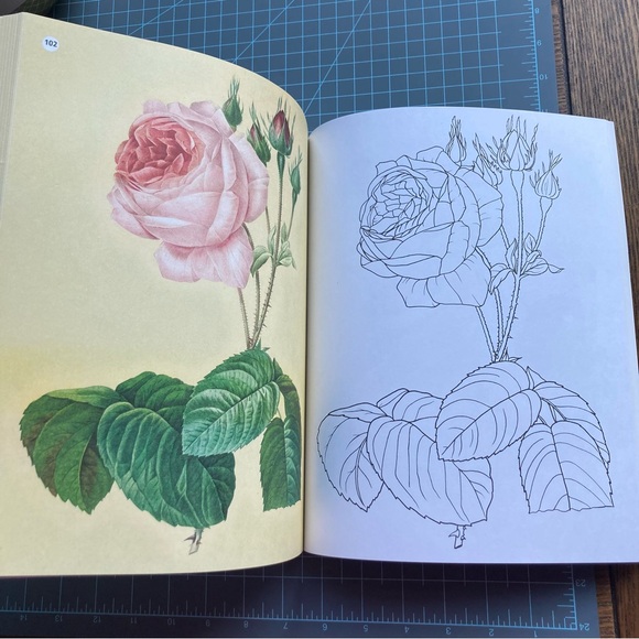 The Beauties of Nature Coloring Book: Flowers, Birds, Butterflies, & Wildlife - Picture 7 of 12